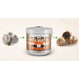 Máy làm tỏi đen tiross ts904