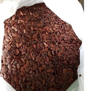 99k 500gr hạt dưa loại ngon