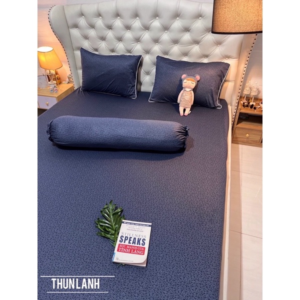 Bộ 4 ga/drap trải giường áo gối THUN LẠNH THÁI