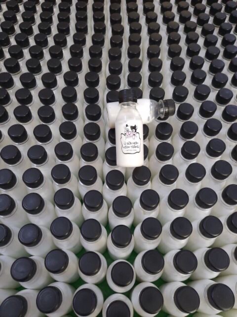 Sữa non kích trắng con bò (chính hãng) | BigBuy360 - bigbuy360.vn