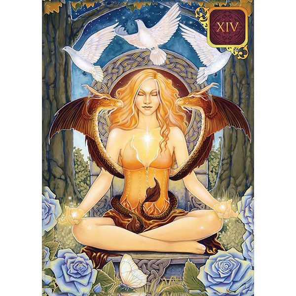 Bộ Bài Dreams of Gaia Tarot - Pocket Edition (Mystic House Tarot Shop)