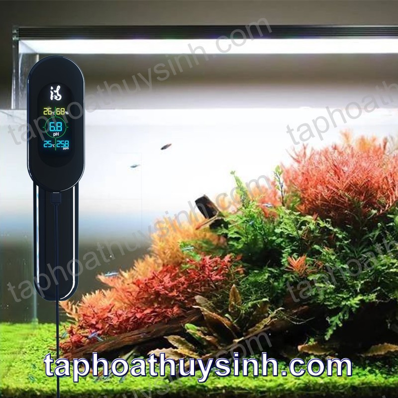 BỘ ĐO PH - NHIỆT ĐỘ- TDS ONLINE IBOWL 4.0 PRO 2020
