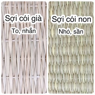 Chiếu cói cho bé cỡ đại 65x130cm, thoáng mát, không hầm bí lưng