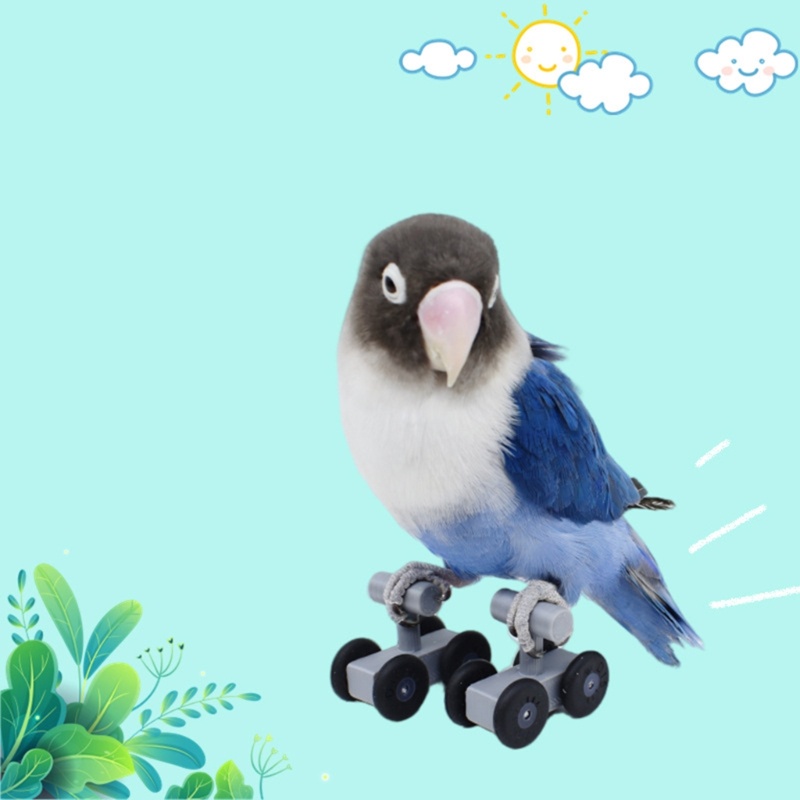 Bộ Đồ Chơi Ván Trượt Mini Luyện Tập Trí Thông Minh Cho Vẹt