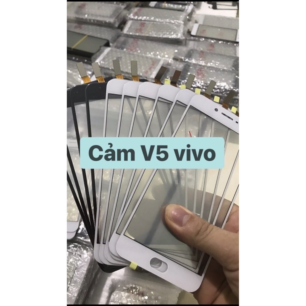 Cảm ứng Vivo V5/ V5s