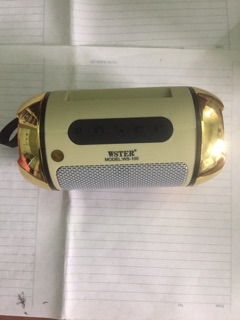 Loa Bluetooth WS- 100