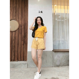 Áo pull cổ tim xk nhiều màu