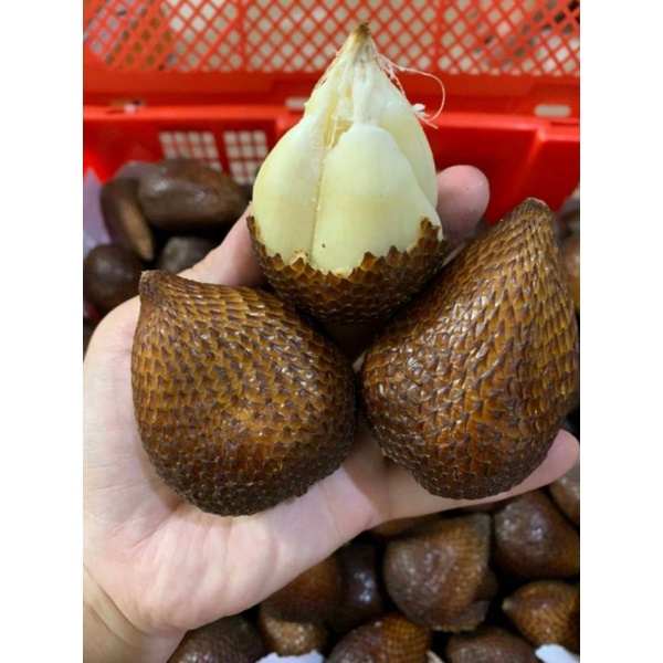 Mây indo 1000gr- trái mây indo--mây indonesia-salak giòn,ngọt