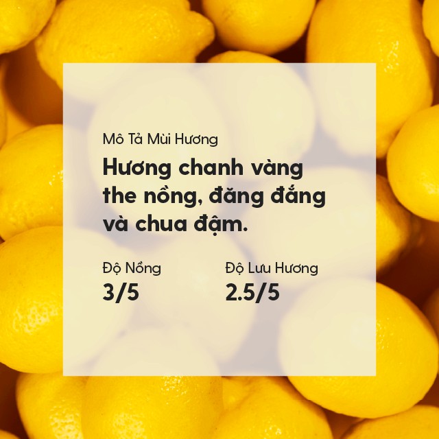 17 MÙI Tinh Dầu Diệt Khuẩn Làm Sạch Không Khí Organic Thiên Nhiên Nguyên Chất Đậm Đặc HENY GARDEN