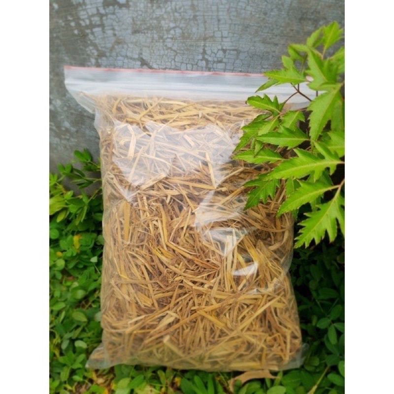 Rơm khô-trồng cây- Trang trí- Cho pet