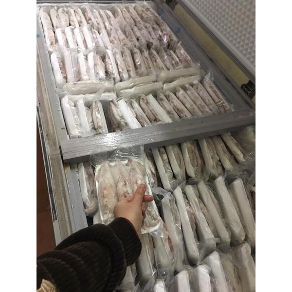 Mực ống  khay 500gr sz 5-6 con