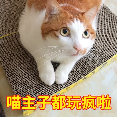 Đồ chơi đồ chơi đồ chơi đồ chơi gia dụng