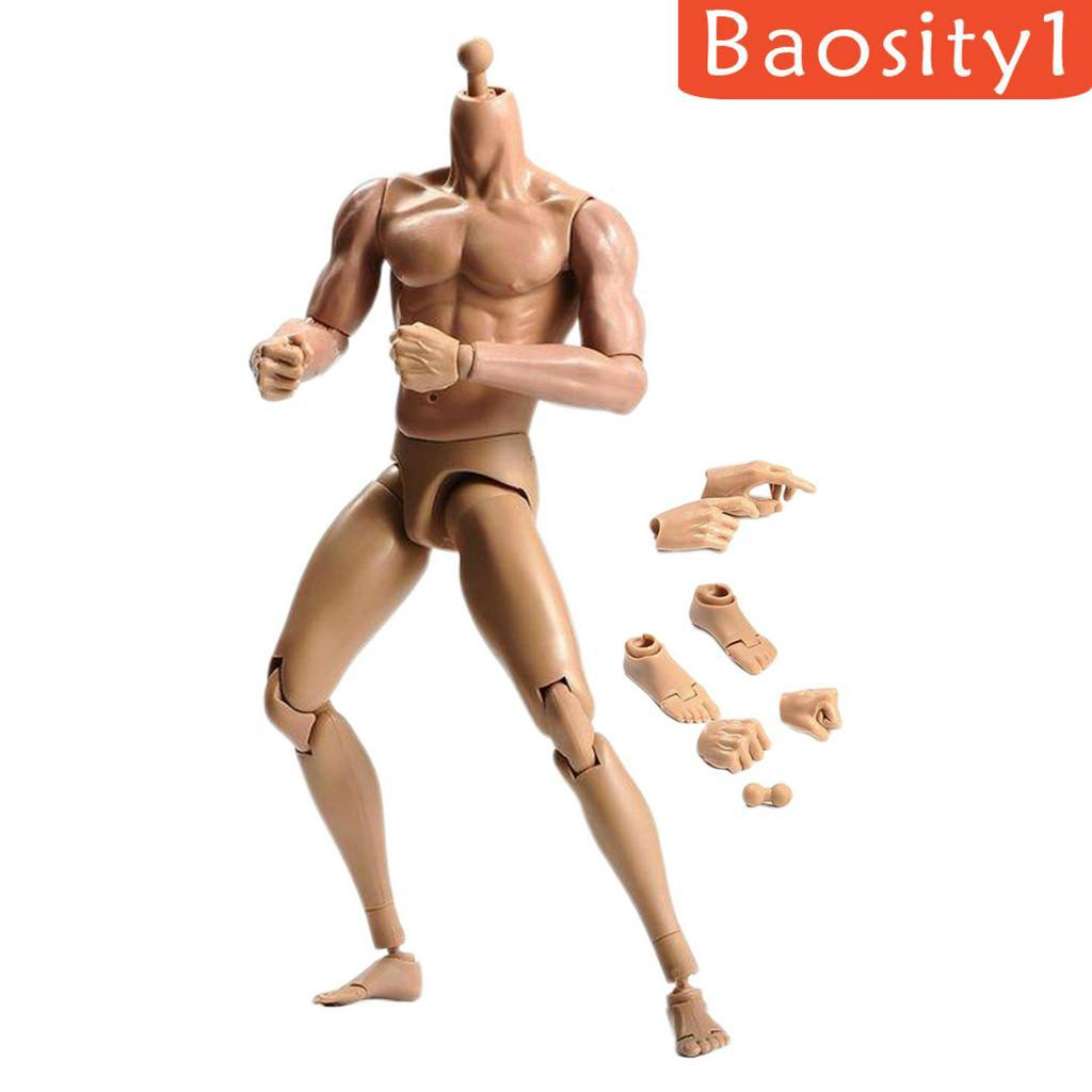 Mô hình cơ thể người nam tỉ lệ 1/ 6