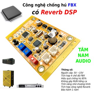Mạch Chống Hú Mic V2 Cho Loa Kéo - Amply Có Kèm Reverb _Tâm Nam