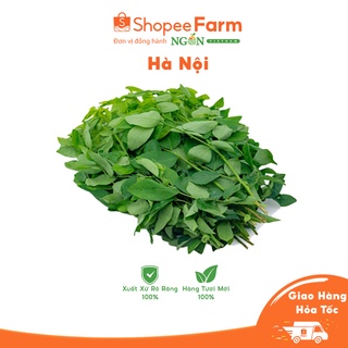 [HN] Rau Ngót Tươi Ngon Chuẩn VietGAP