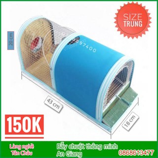 Bẫy chuột thông minh An Giang size Trung