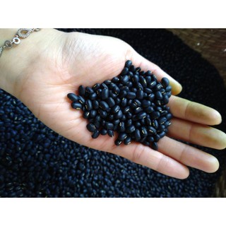 1kg Đậu đen quê xanh lòng