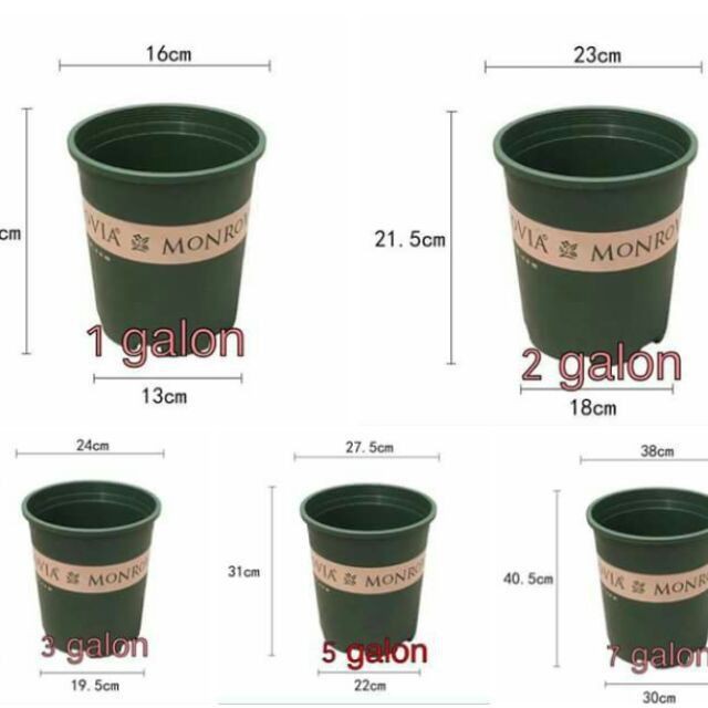 Chậu trồng hoa monrovia 1gal hàng loại 1 công ty VN_Chậu mon 1 16x17cm