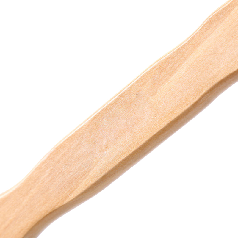 Bàn Chải Chà Lưng Cán Gỗ Tự Nhiên ☆Gyxcadia