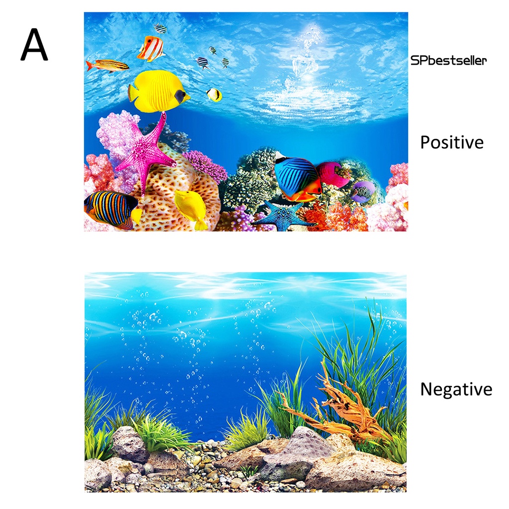 Miếng Dán Trang Trí Bể Cá Cảnh Độc Đáo