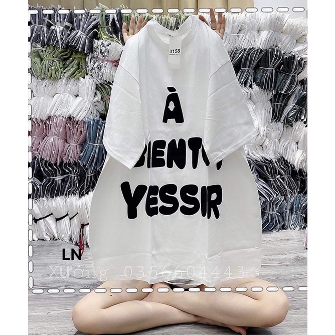 Áo phông YESIR LN12