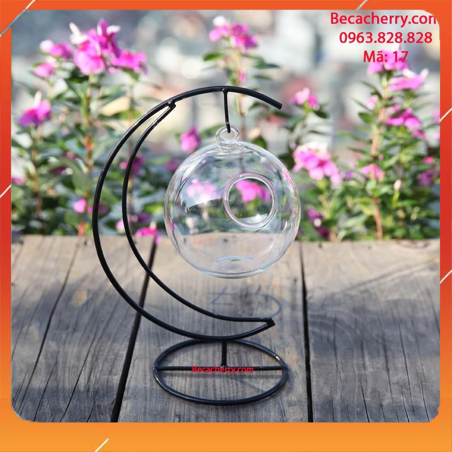 Bể cá mini cung trăng 17 ( tặng kèm phụ kiện trang trí ) | BigBuy360 - bigbuy360.vn