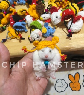 Nón len chụp ảnh ✨