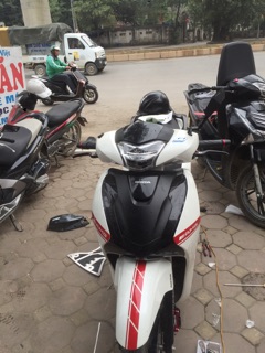 Team amg phản quang xe Sh 2012-2019