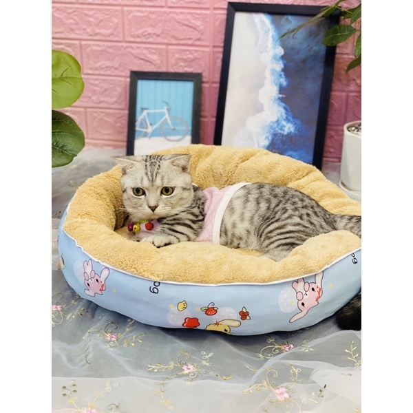 NỆM NẰM CHO CHÓ - ĐỆM CHO MÈO DƯỚI 10KG