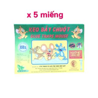 Keo dính chuột dính ruồi ( 5 MIẾNG)