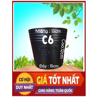 Combo 100 chậu nhựa trồng cây,trồng hoa,trồng rau C6 giá tại xưởng