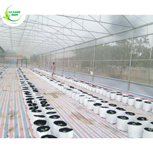 Túi PE trồng cây, trồng rau, chậu trồng cây 2 lớp nilong trắng đen