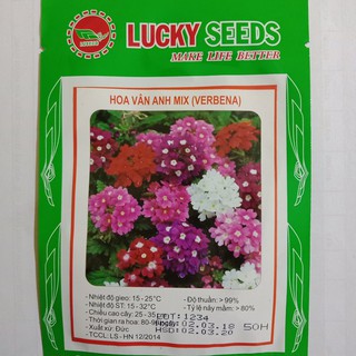 Bán Hạt Giống Hoa Vân Anh Mix( VEBERNA) hàng chuẩn