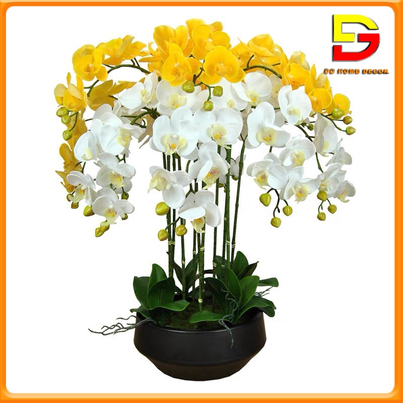 Bình Hoa Lan Hồ Điệp Cao Cấp Chậu Hoa Để Bàn Y Thật Cao 60cm Rộng 46cm Trang Trí Nhà Cửa DG-123
