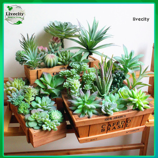 Cây hoa sen đá mini nhân tạo trang trí bàn nhà ở/tiệc tùng/đám cưới