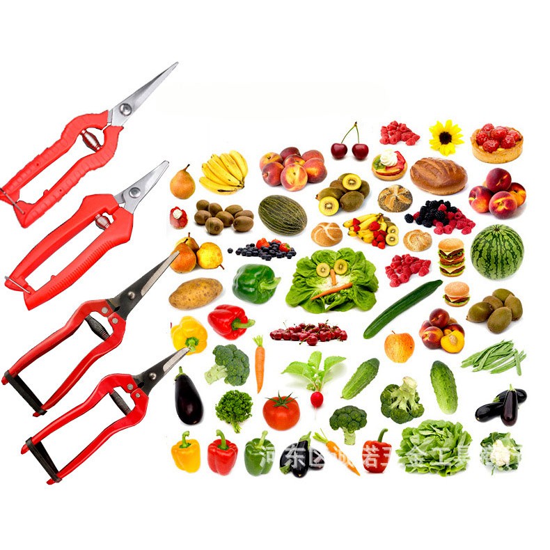 [FREESHIP 50K] Kéo tỉa cành, rau, cắt hoa quả thép tốt loại lưỡi dài