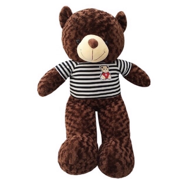 Gấu TEDDY nhiều kích thước