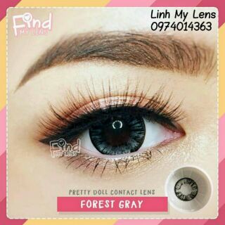 Lens Gray - Kính áp tròng xám