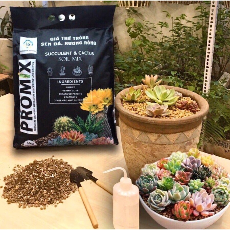 GIÁ THỂ TRỒNG SEN ĐÁ PROMIX 125K/1 Bao