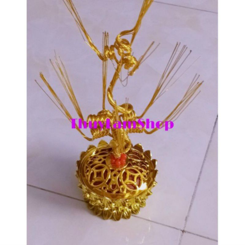 5 cây gốc tháp sen làm cây cành vàng lá ngọc
