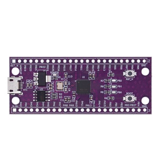 Mạch điều khiển w806 240mhz 5-8bit stm32 ch340 iot mcu chất lượng