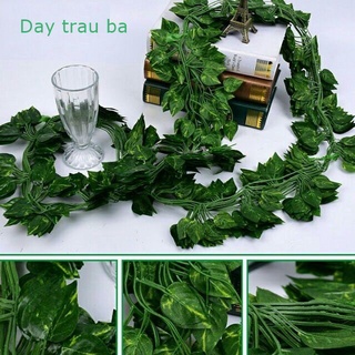 Dây leo giả: lá nho, trầu bà, thường xuân, rau má, dưa hấu, dài 2.4M