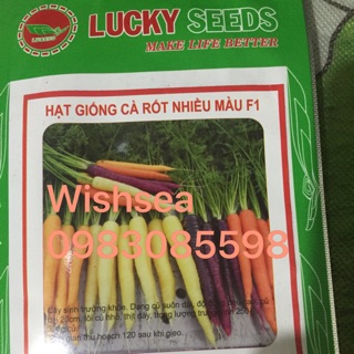 Hạt giống cà rốt nhiều màu