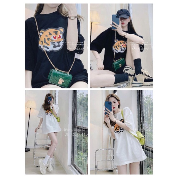 Áo phông túi zip, dáng giấu quần, cotton dày dặn mát, có bán sỉ