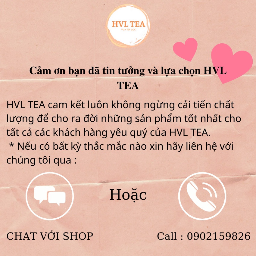 Túi lọc trà, thảo dược, cà phê, thực phẩm Bằng vải không dệt KHÔNG DÂY HÀN NHIỆT An Toàn Vệ Sinh 100 túi/1sp - HVL TEA