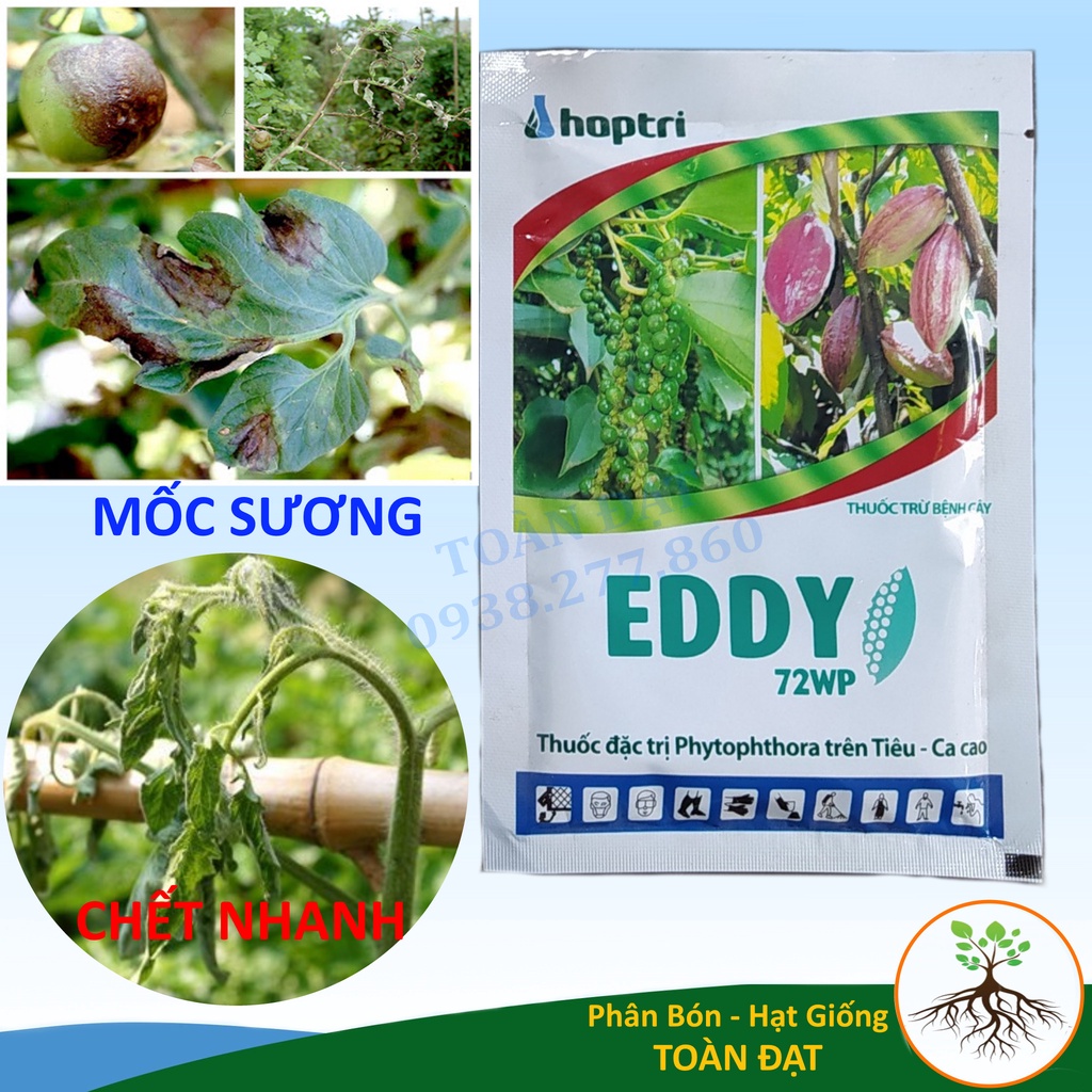 Thuốc Trừ Bệnh EDDY 72WP đặc trị mốc sương, vàng lá thối rễ (gói 50g)