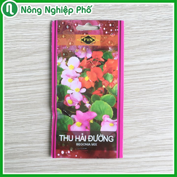 GÓI 15 HẠT - HẠT GIỐNG HOA THU HẢI ĐƯỜNG FVN