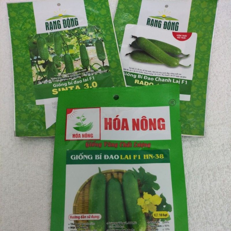 HẠT GIỐNG BÍ ĐAO