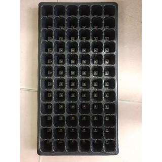 BỘ 10 KHAY ƯƠM HẠT 72 LỖ