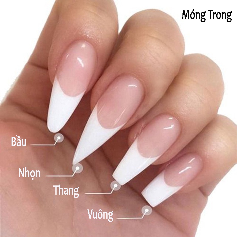 Móng úp tay giả đủ phom vuông thang nhọn bầu HSM chính hãng nhám đục trong chuẩn size Hàn Quốc nail 500 móng